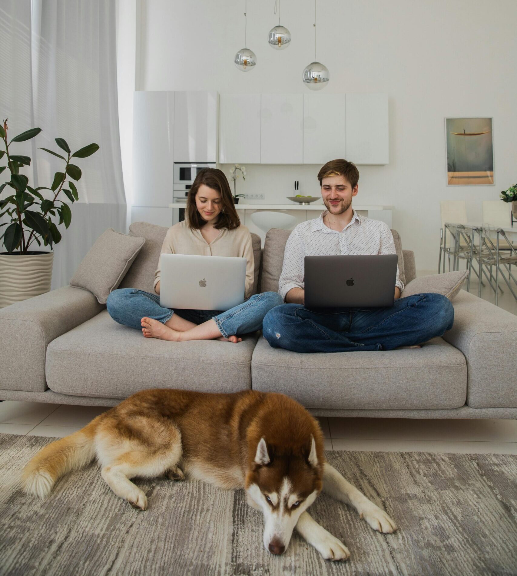 Couple working remotely with laptops in a stylish living room with their dog nearby.